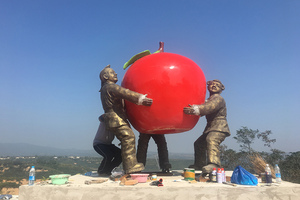 洛川苹果项目